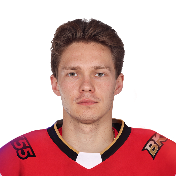 Каменев Владислав